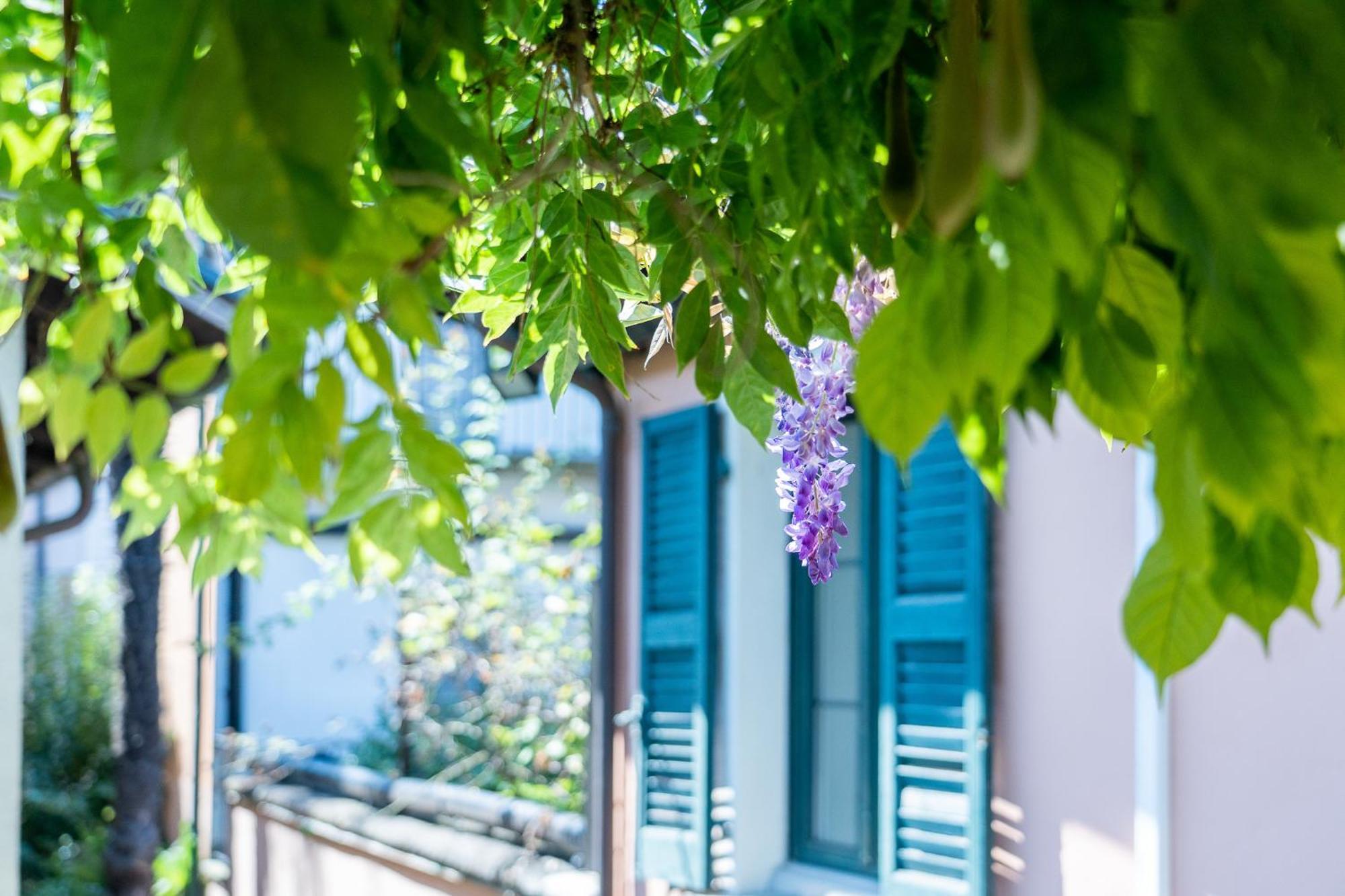 Seven Boutique Hotel Ascona Zewnętrze zdjęcie