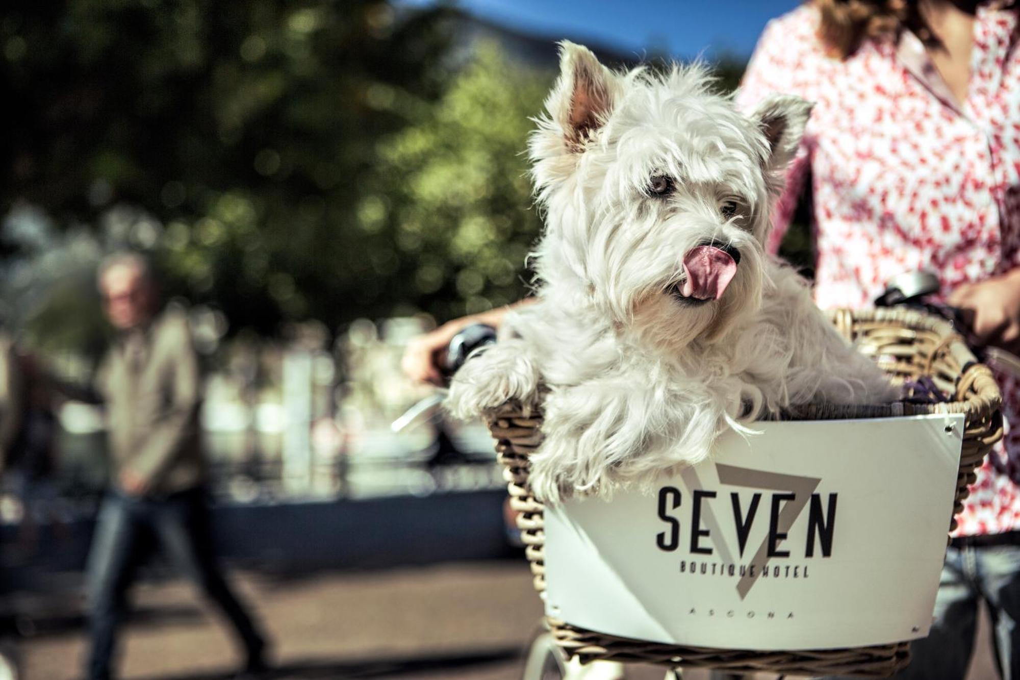 Seven Boutique Hotel Ascona Zewnętrze zdjęcie